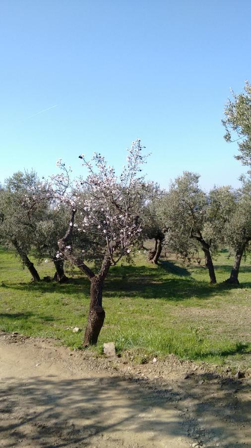 Cal Joanet, acollidora caseta a Gratallops Exterior foto